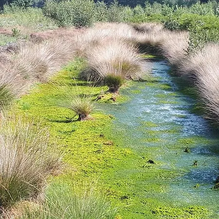 Appartement Ankerplatz Weener
